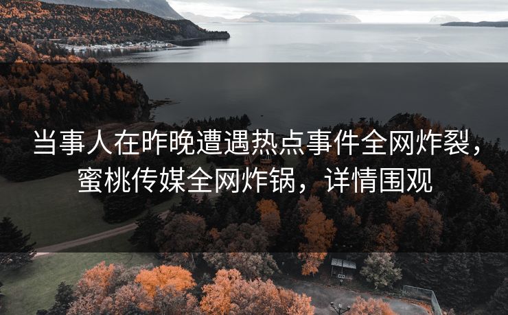 当事人在昨晚遭遇热点事件全网炸裂，蜜桃传媒全网炸锅，详情围观