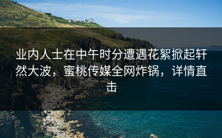 业内人士在中午时分遭遇花絮掀起轩然大波，蜜桃传媒全网炸锅，详情直击