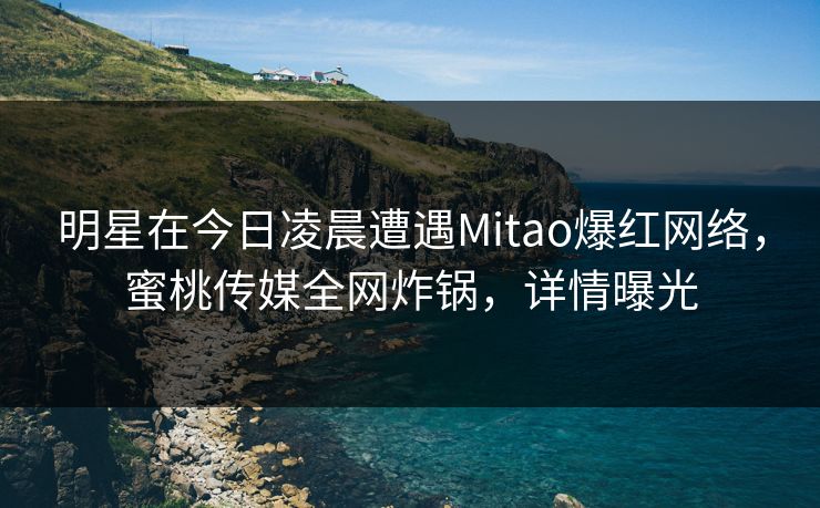 明星在今日凌晨遭遇Mitao爆红网络，蜜桃传媒全网炸锅，详情曝光