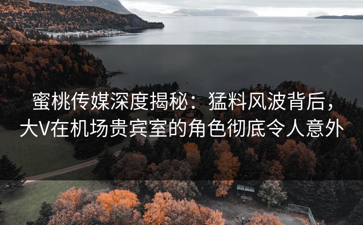 蜜桃传媒深度揭秘：猛料风波背后，大V在机场贵宾室的角色彻底令人意外