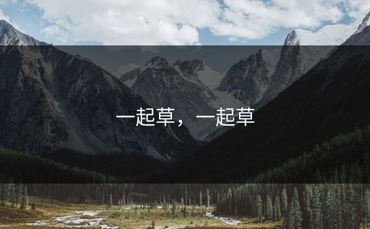 一起草，一起草
