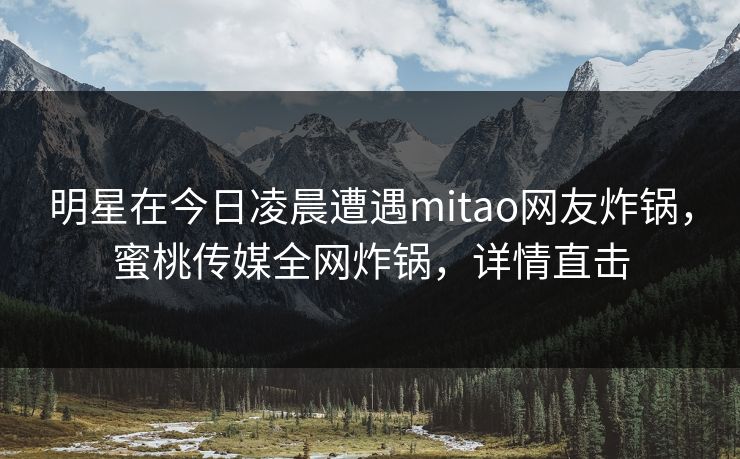 明星在今日凌晨遭遇mitao网友炸锅，蜜桃传媒全网炸锅，详情直击