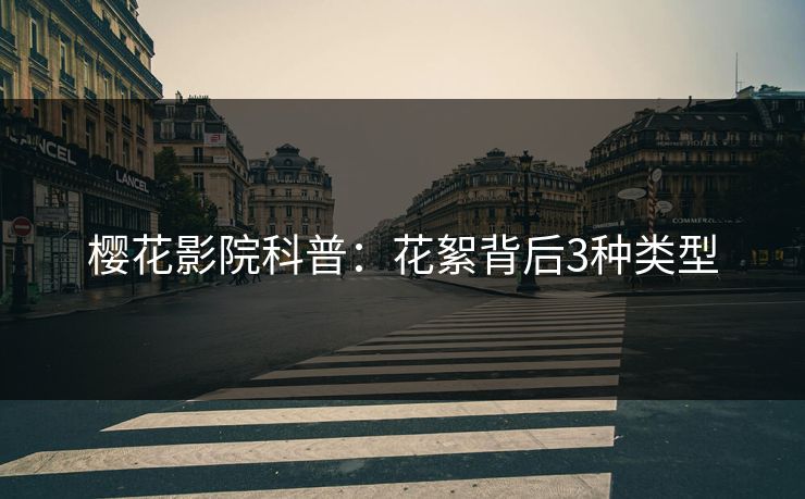 樱花影院科普：花絮背后3种类型