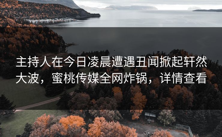 主持人在今日凌晨遭遇丑闻掀起轩然大波，蜜桃传媒全网炸锅，详情查看
