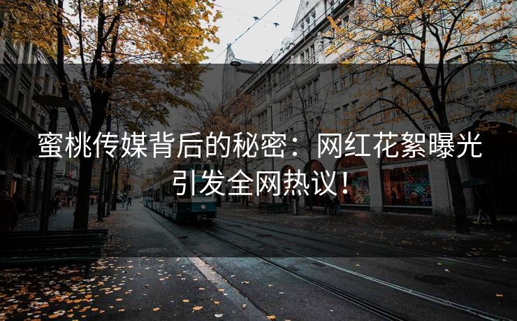 蜜桃传媒背后的秘密：网红花絮曝光引发全网热议！