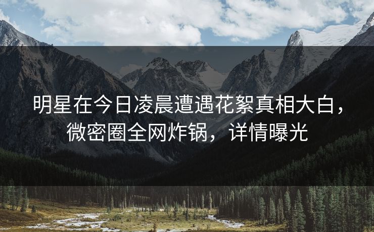 明星在今日凌晨遭遇花絮真相大白，微密圈全网炸锅，详情曝光