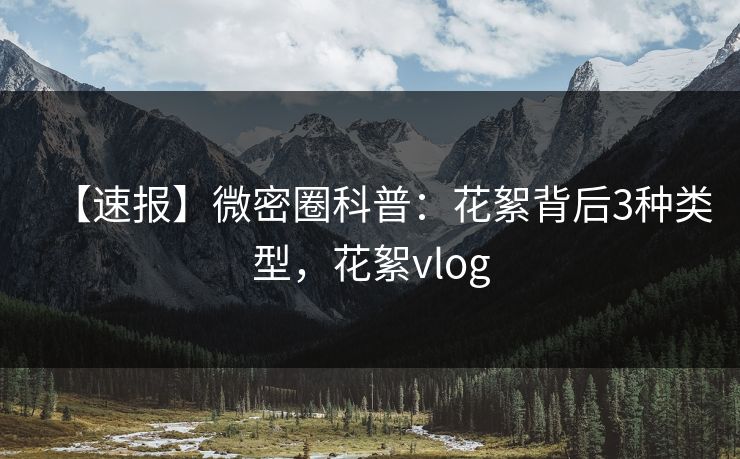 【速报】微密圈科普：花絮背后3种类型，花絮vlog